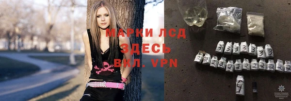 крисы Абаза