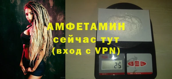 крисы Абаза