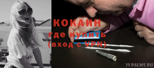 крисы Абаза