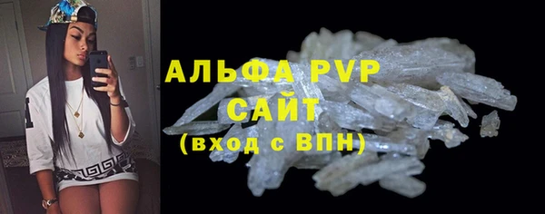 крисы Абаза