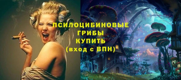 гашик Нефтегорск