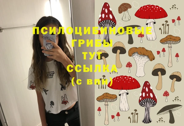 шишки Нефтекумск