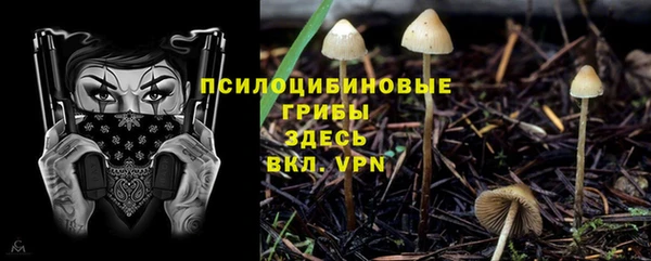 шишки Нефтекумск